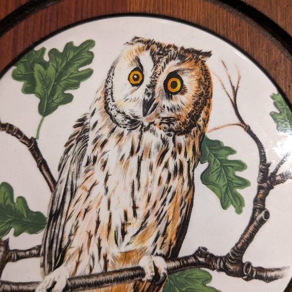 Vintage SQ. Wood Framed Round Ceramic Owl Tile Wall Decor Cabin Brown & White - Picture 7 of 7